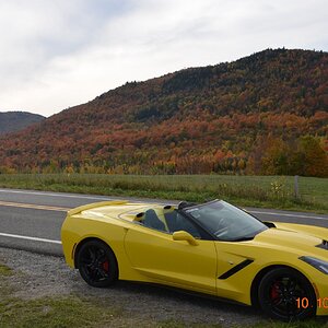 NEAR MANSONVILLE.JPG