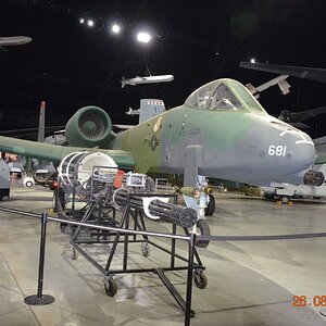 AIR FORCE 11 WARTHOG 2.JPG