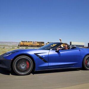 Ziggy WCCC2019 - 3-2.jpg