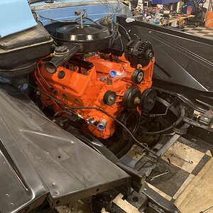 iOS Image - 2872222543.jpg