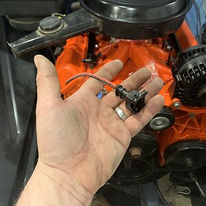 iOS Image - 1742875425.jpg