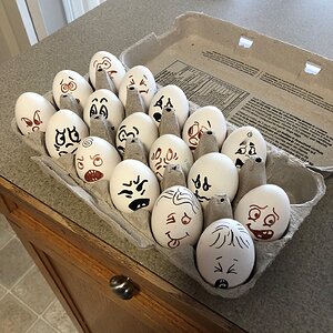 Crazy eggs.jpg