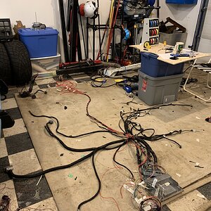 iOS Image - 4061725624.jpg