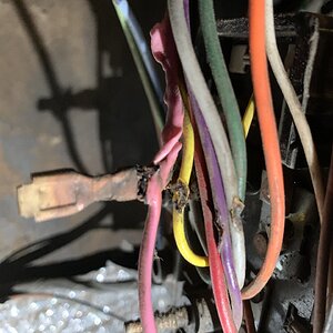 iOS Image - 2559312483.jpg