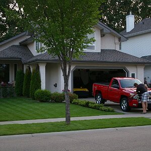 2010 Chevrolet Pick-up Truck 3347.JPG