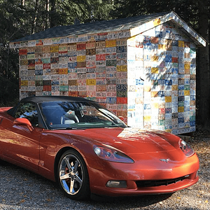 car licence plates.png