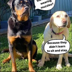 116748444_3448989695121244_1980075494328247834_n (1).jpg