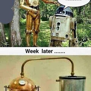 FB_IMG_1550409650763 (1).jpg