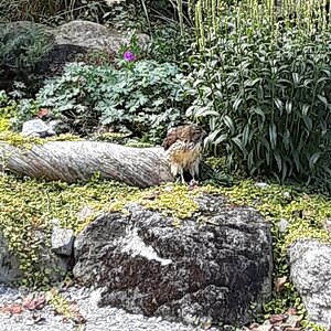 20200917_110226 2.jpg