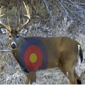 targetdeer.png