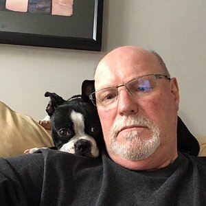 iOS Image - 2103258477.jpg