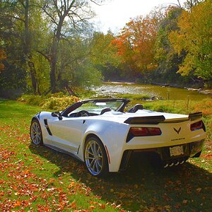 iOS Image - 1134801442.jpg