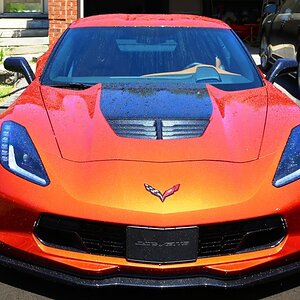 Vette 7 Front.jpg