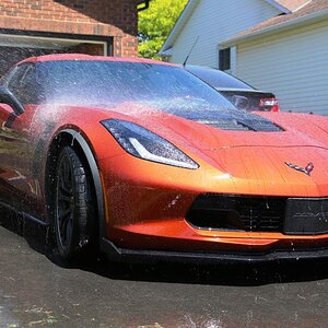 Vette 8 Bathtime.jpg