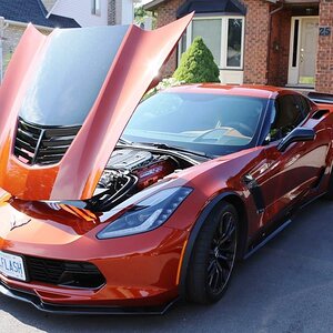 Showstoppers Coil Covers 2.jpg