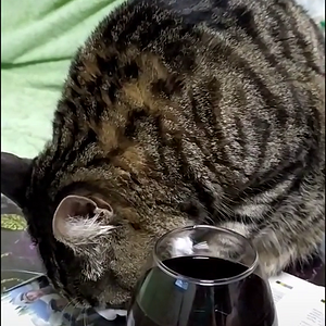 VIDEO-2020-10-02-07-57-15.mp4