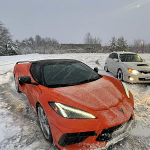 iOS Image - 3015511562.png