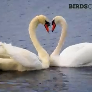 VIDEO-2020-12-22-16-05-03.mp4