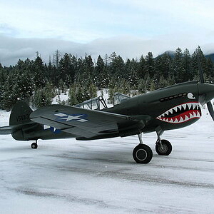 military-aircrafts-curtiss-p-40-warhawk-aircraft-military-wallpaper-preview.jpg