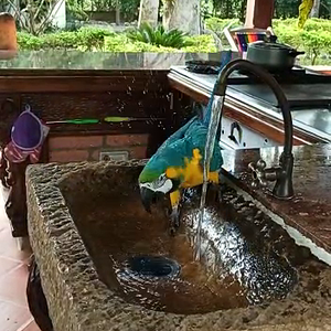 VIDEO-2020-12-25-21-05-06.mp4