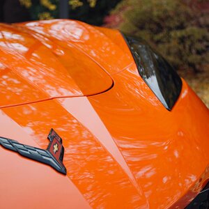 PHOTO-2020-11-03-12-32-36 2.jpg