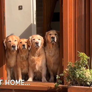 VID-20210112-WA0004.mp4