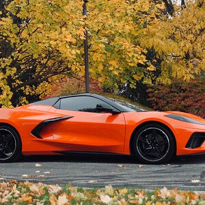 PHOTO-2020-11-03-12-32-40 2.jpg