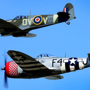 British Vintage War Birds 1800.jpg