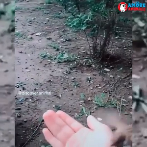 Iftheyhadn'trecordedit,noonewouldbelieveit (1).mp4