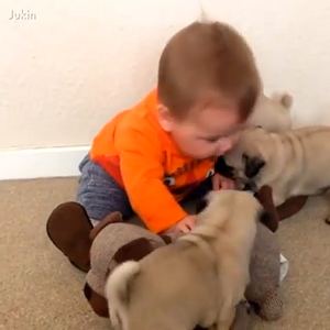 video-f2ca3211999ca8f0e9eddeb95c2af0e0-V (1).mp4