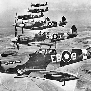 spitfires-1.jpg