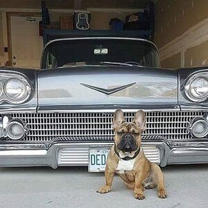 1 fifty eight31 guard duty.jpg