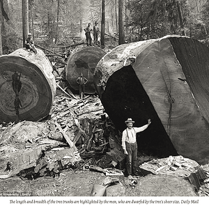 Skärmavbild 2021-11-28 kl. 16.42.32.png