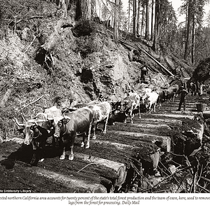 Skärmavbild 2021-11-28 kl. 16.42.11.png