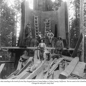 Skärmavbild 2021-11-28 kl. 16.41.52.png