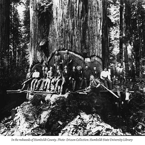 Skärmavbild 2021-11-28 kl. 16.43.25.png