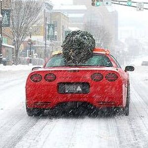 aee66c2f94fb31fdc47edf44d92a5ca9--christmas-cars-christmas-ideas.jpg