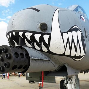 photo_nose_warthog_ground_support_aircraft_its_gatling_gun_andrews_air_force_base_maryland_air...jpg