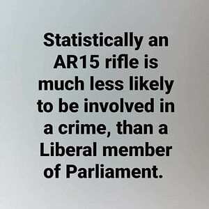 AR15 & Criminal Act blk on wht.jpg