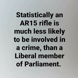 AR15 & Criminal Act blk on wht.jpg