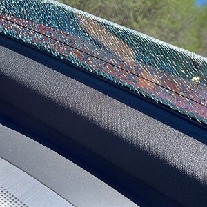 iOS Image - 2319593977.jpg