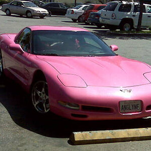 Angelyne-2004-Pink-Vette-Before-92.jpg