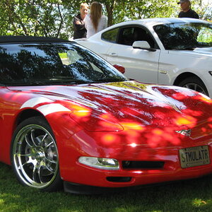 vette 004.JPG