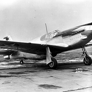 lg-p51.jpg