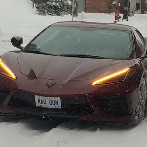 iOS Image - 1270980830.jpg