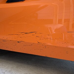 iOS Image - 929219056.jpg