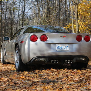 Our Corvette Rear In Leaves.JPG
