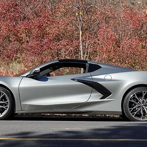 Fall colors small - 1.JPG