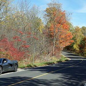 Fall colors small - 2.JPG