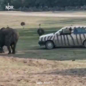 Never tailgate a rhino - CW(2).mp4